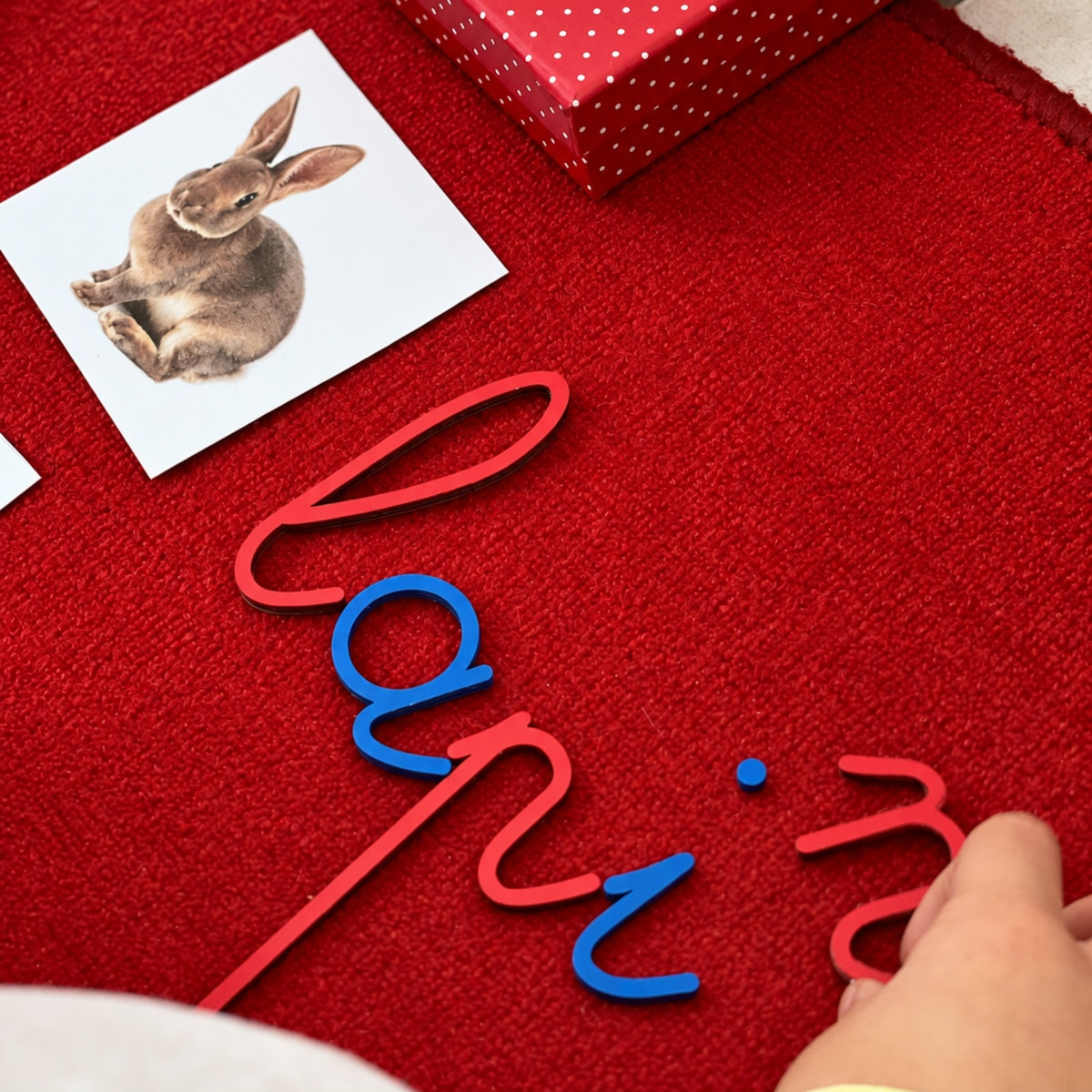 Le mot lapin formé avec l'alphabet mobile, à côté de la carte du lapin