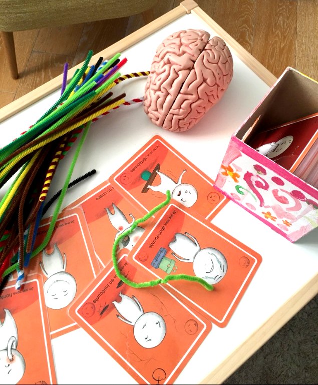 Un cerveau en modèle, des cure-pipes et les cartes des émotions posés sur une table lumineuse